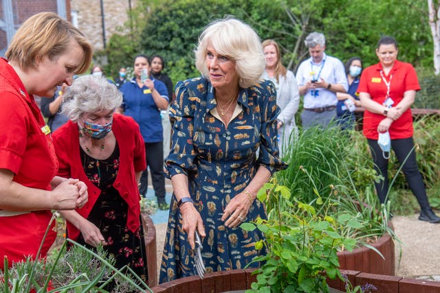 <p>Camilla, then-Duchess of Cornwall, planting new Nye Bevan and Roald Dahl roses alongside Trust staff when she visited the hospital garden at The Whittington Hospital on 12 May 2021</p>
