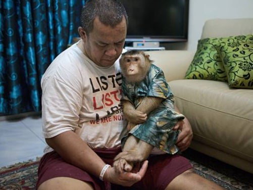 The reforms would have ended the keeping of primates as pets