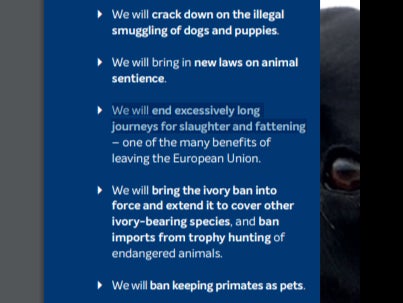 The last Tory election manifesto promised a blitz on puppy smuggling, an end to live exports and a ban on keeping primates as pets