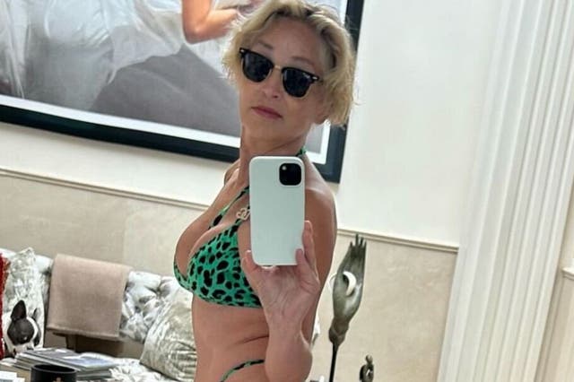 <p>Sharon Stone shared a bikini selfie, two months after celebrating her 65th birthday</p>