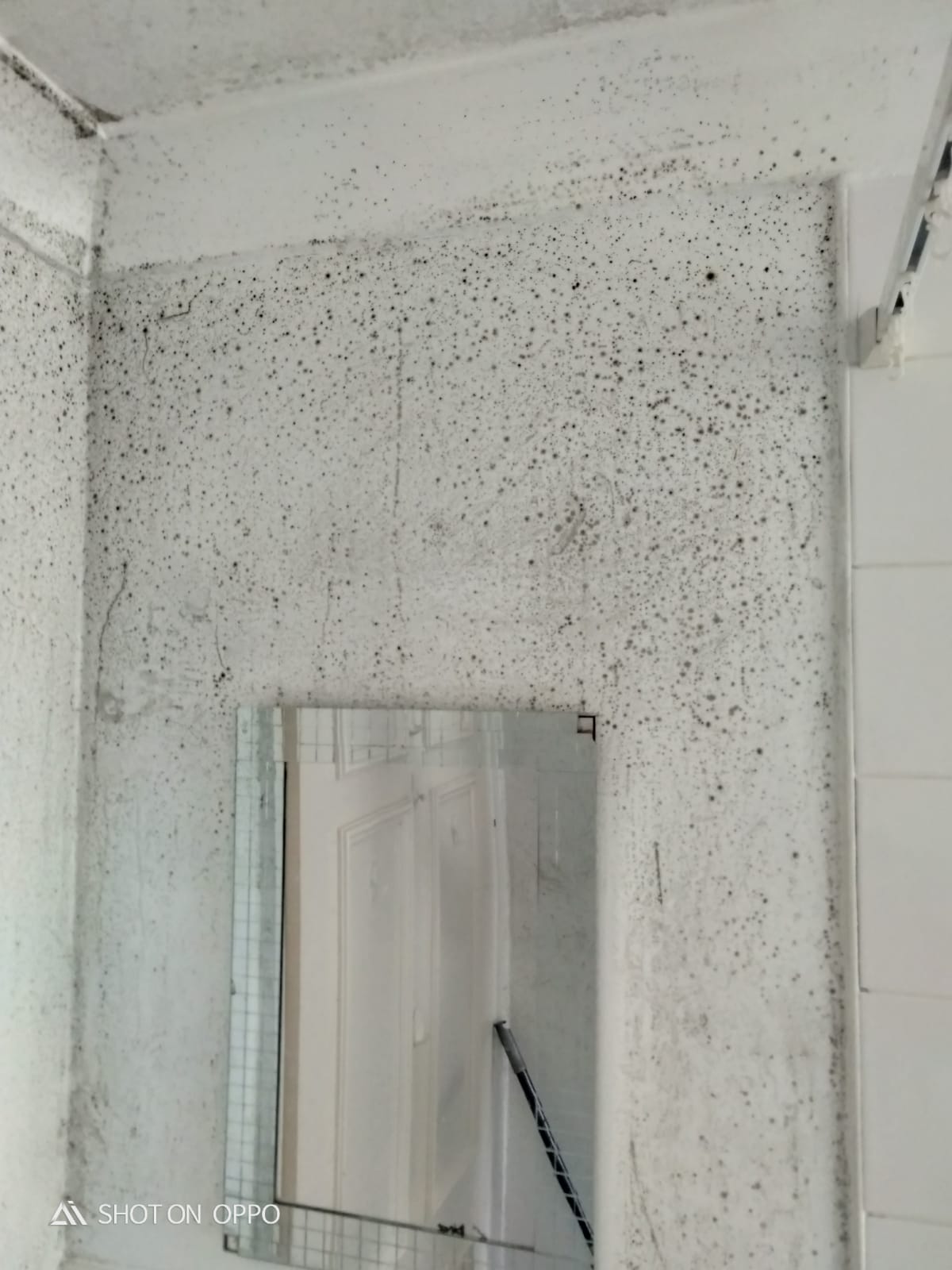 Mr Hamid’s flat was beset by problems with black mould