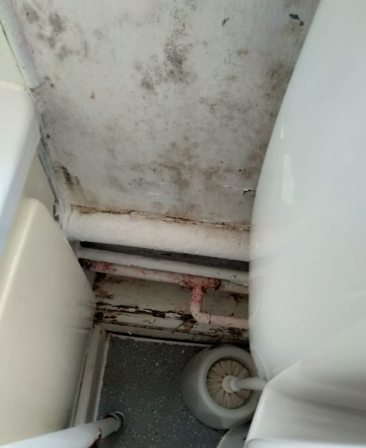 The tenants say the mould would return after treatment, each time worse than before