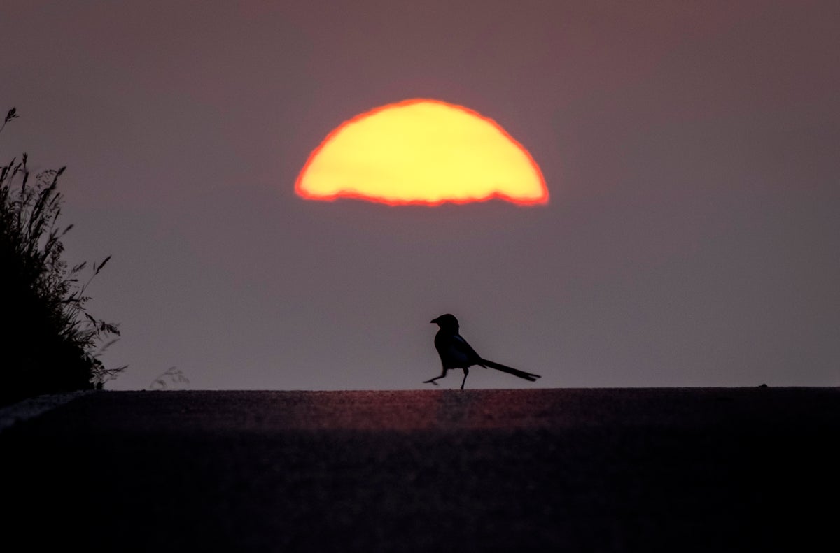 AP-Pictures-of-the-Week-Global-Photo-Gallery