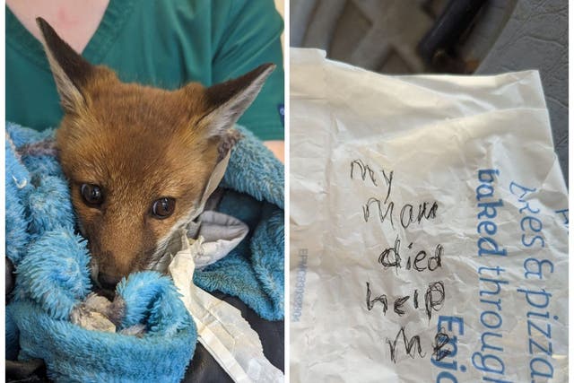 A fox cub is now in a safe place after being found abandoned at the side of a road alongside a heartbreaking note written on a Greggs paper bag (RSPCA/PA)