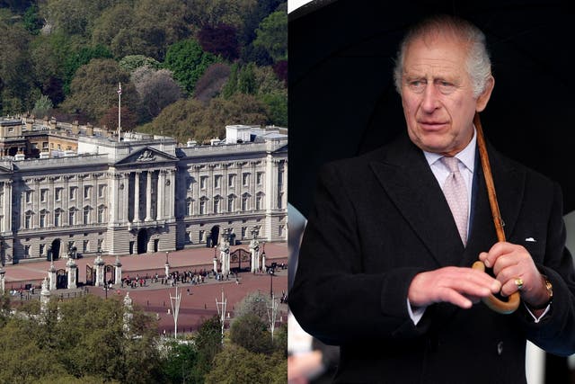 <p>King Charles III is understood to be keen to reduce energy usage at Buckingham Palace</p>