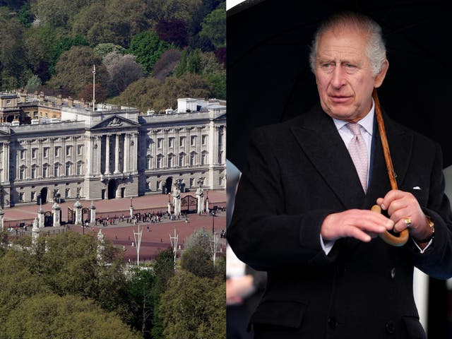 <p>King Charles III is understood to be keen to reduce energy usage at Buckingham Palace</p>