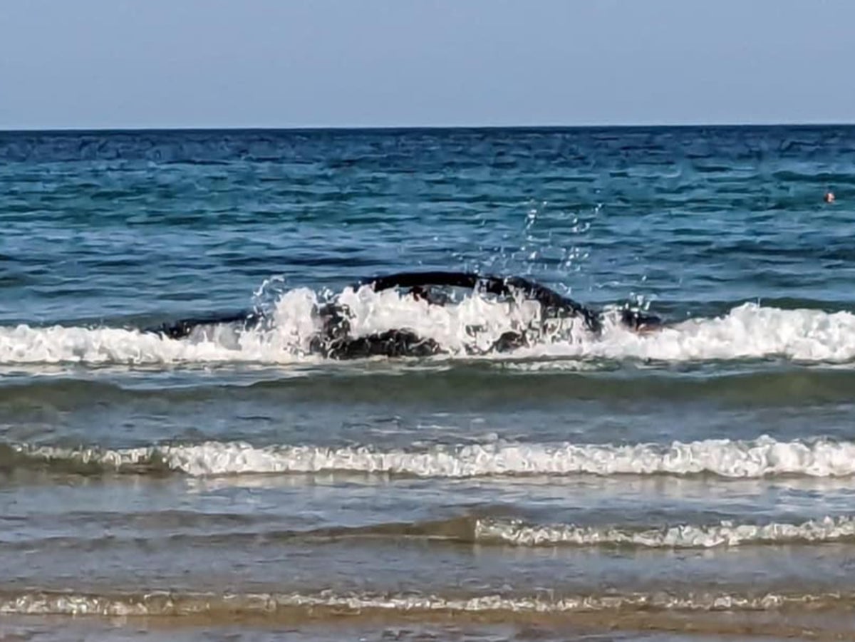 BMW owner’s horror as £100,000 car washes out to sea with passengers inside