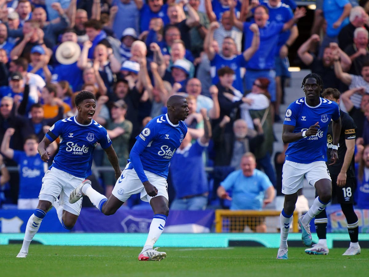 Premier League relegation battle LIVE: EPL latest scores today as Everton survive over Leicester and Leeds