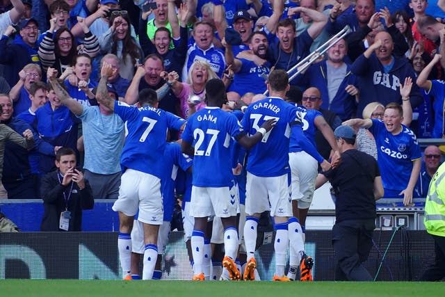 <p>The team and fans celebrate as Everton go ahead </p>