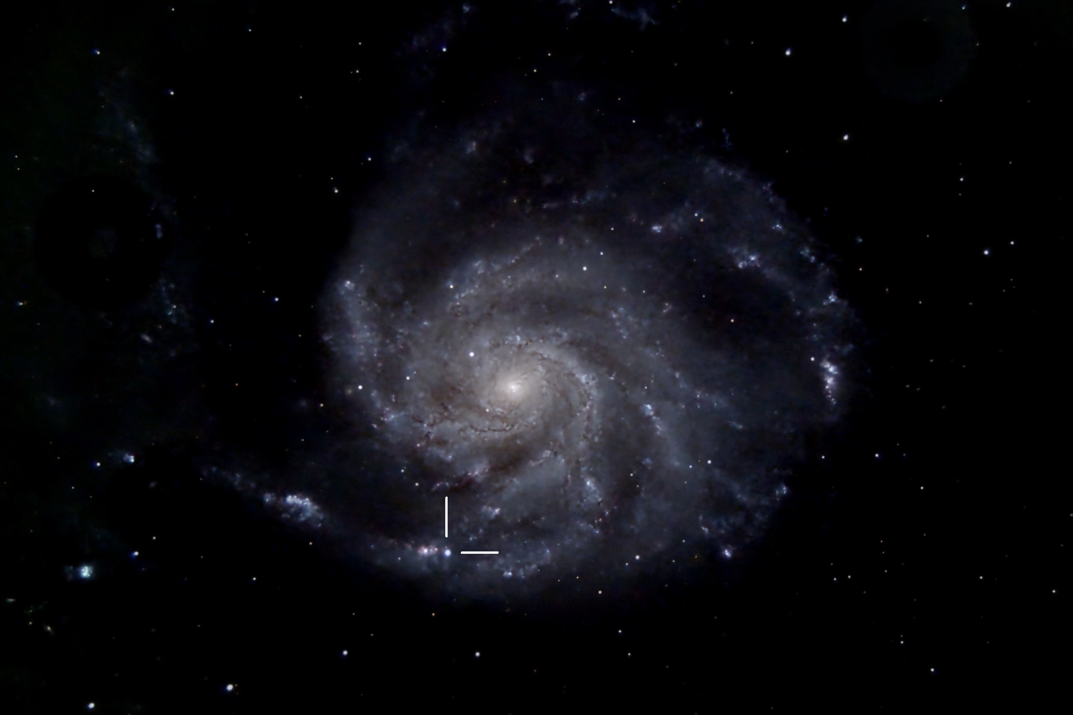 New supernova in the Pinwheel Galaxy now visible with a telescope