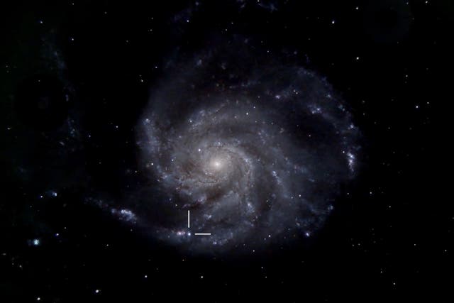 An image of the supernova SN 2023ixf in the Pinwheel Galaxy, taken by Dr Jane Clark on May 23 (Dr Jane Clark/Cardiff Astronomical Society)
