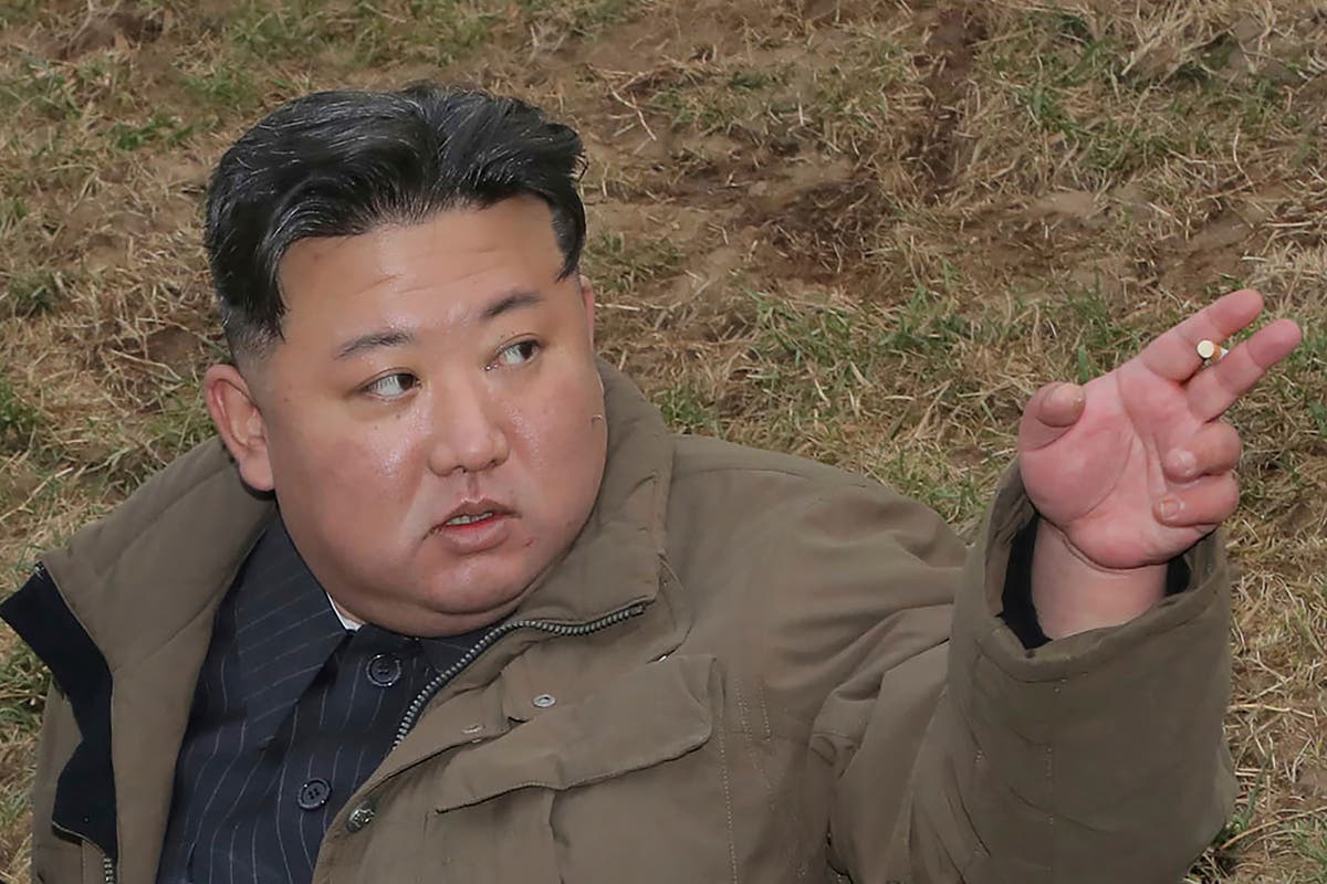 North Korea claims it is just days away from launching its first ever spy satellite