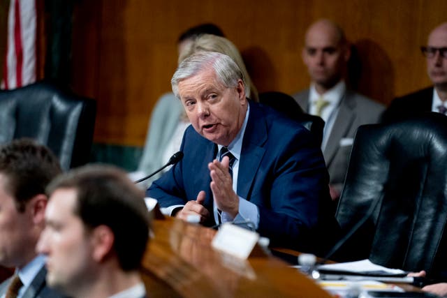 <p>Lindsey Graham at a committee hearing </p>
