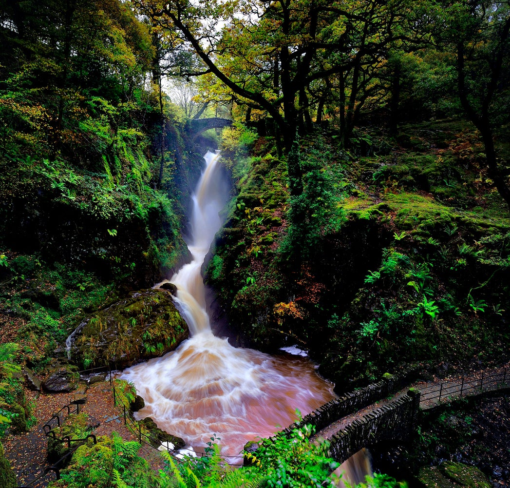 Aira Force is one of the Lake District’s most popular attractions