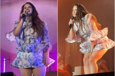 Lana Del Rey asks fans to help locate her lost vape during first concert in three years