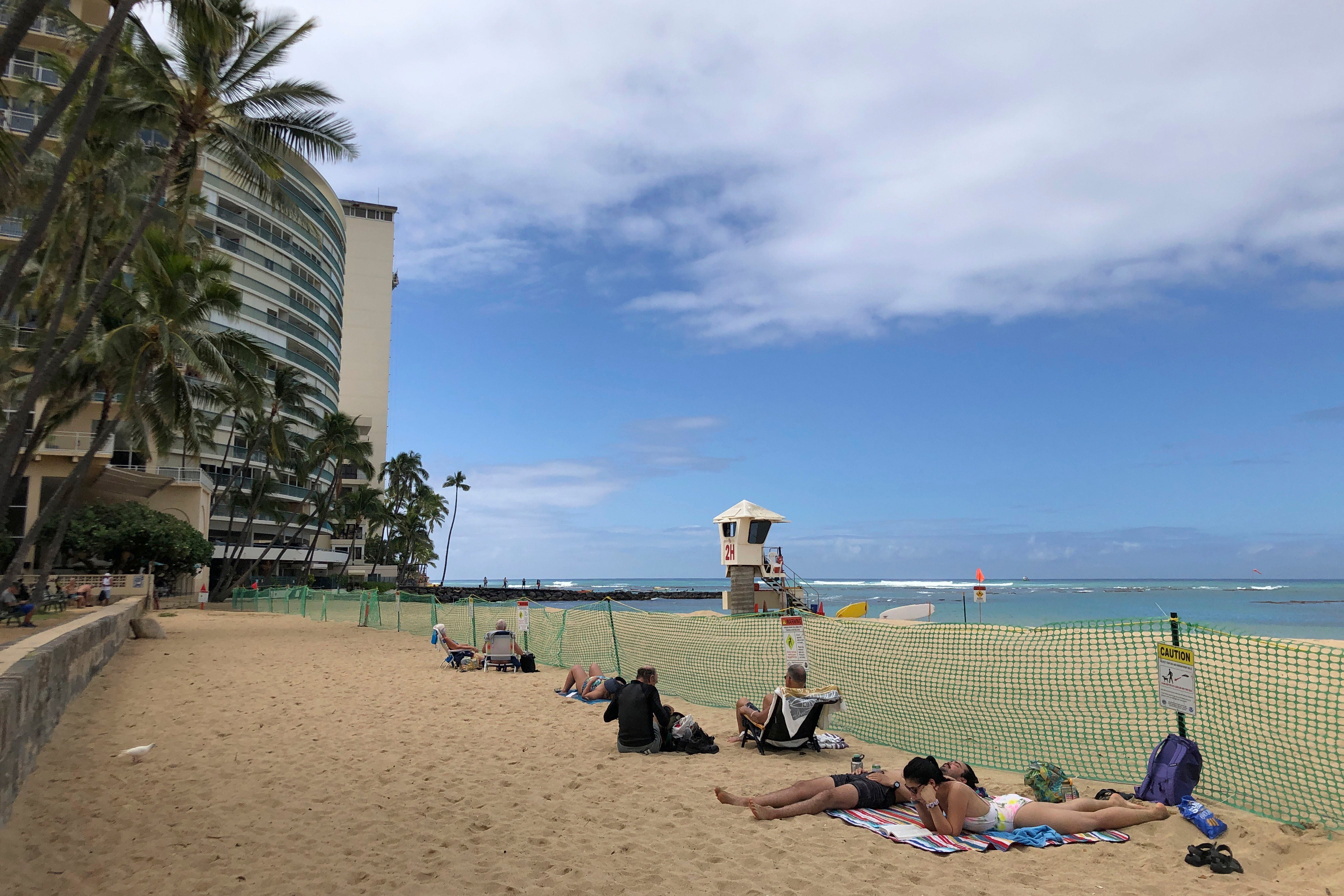 Hawaii Monk Seals Waikiki