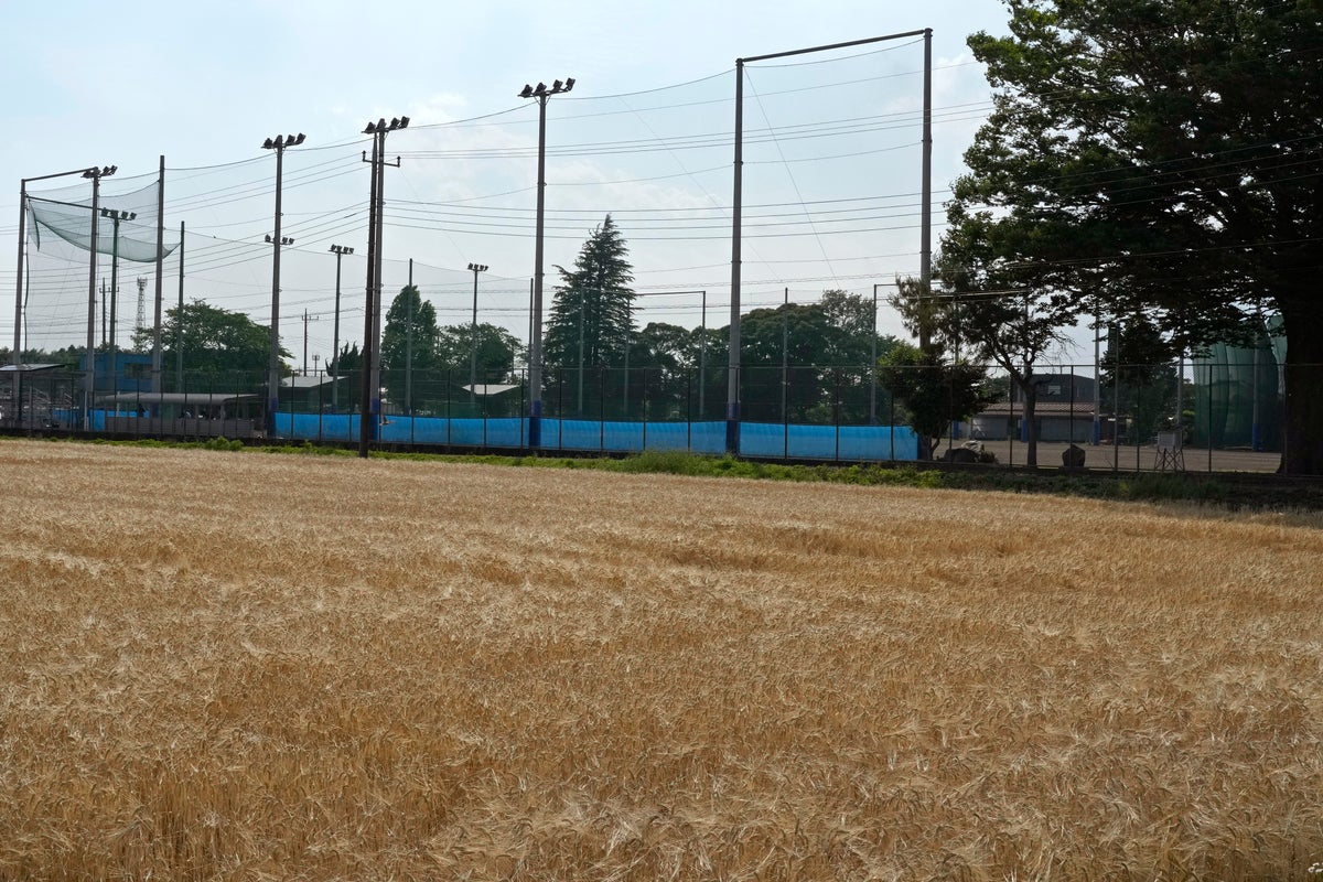 Japanese knuckleball pitcher Eri Yoshida plays on her own 'Field of Dreams