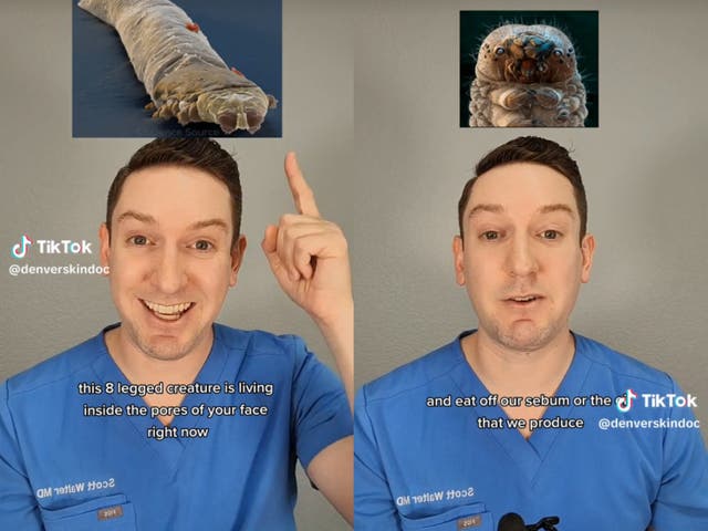 <p>Dermatologist Dr Scott Walter reveals what’s living on our skin</p>