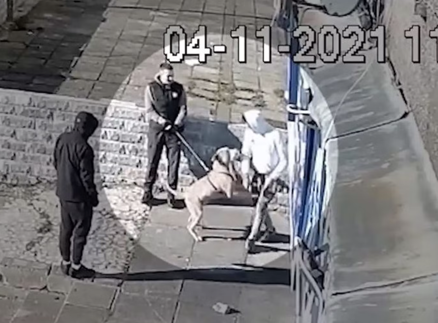 CCTV footage shows ‘Beast’ lunging at strangers before fatal attack took place