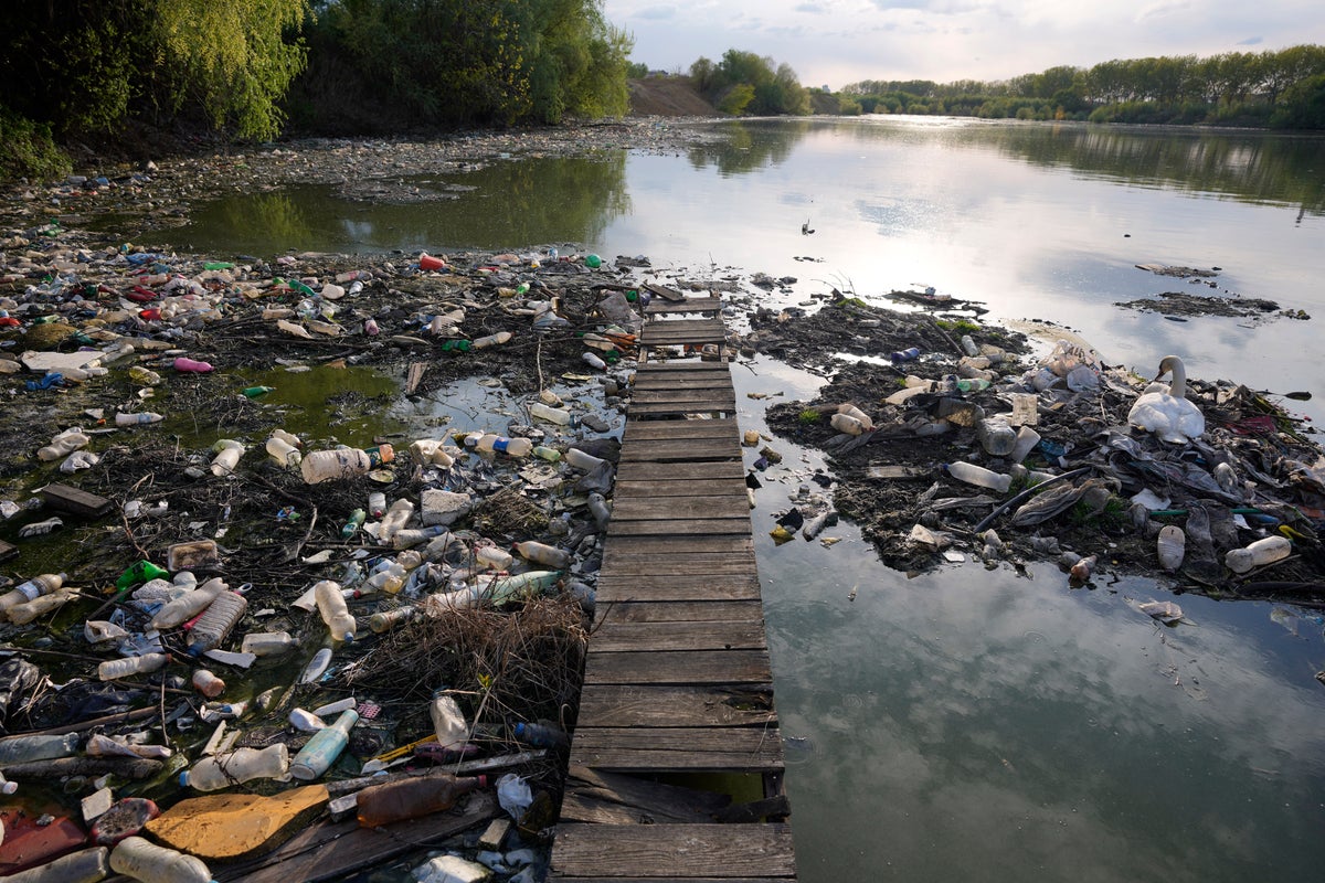 Earth is 'really quite sick now' and in danger zone in nearly all ...