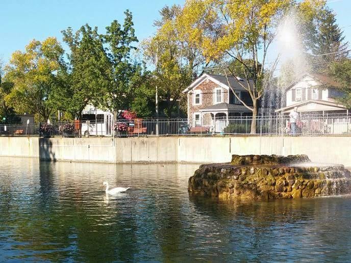 Three teenagers have been arrested for killing and eating a swan from a New York town’s pond, according to officials