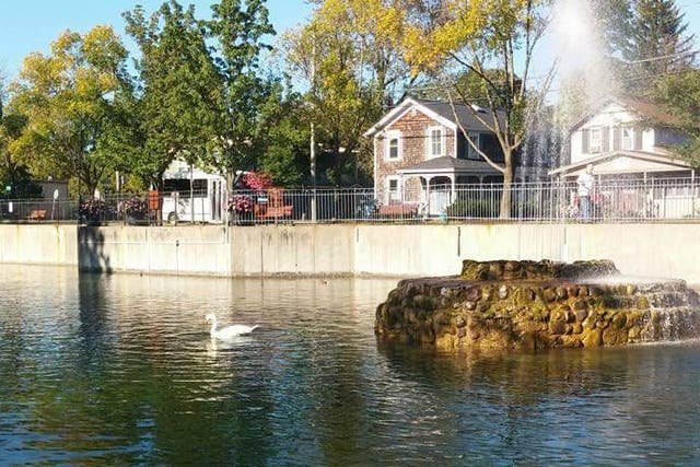 <p>Three teenagers have been arrested for killing and eating a swan from a New York town’s pond, according to officials</p>