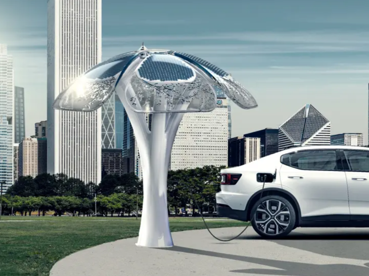 Solar trees offer unique solution to charging electric cars