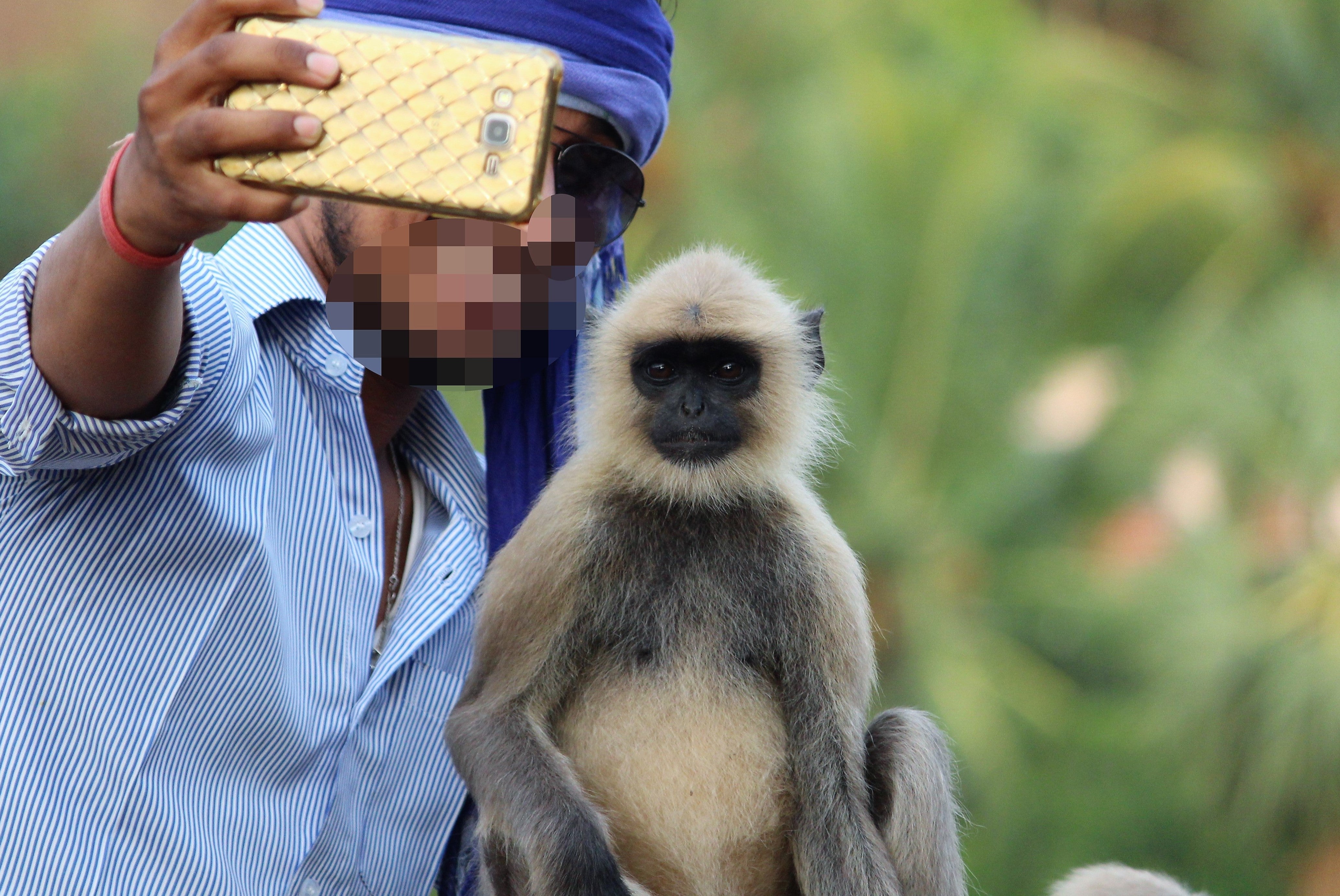 A wildlife charity is urging UK tourists to stop taking souvenir ...