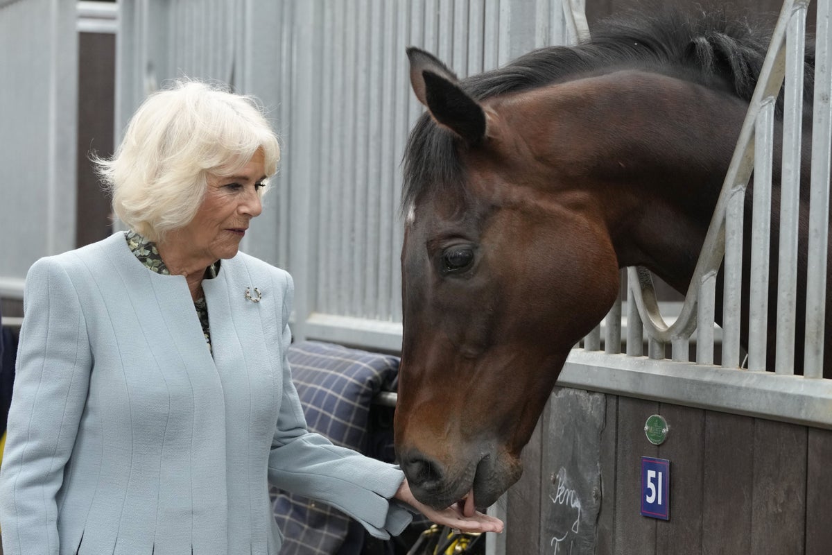 Queen feeds mint to retired racehorse on visit to British Racing School