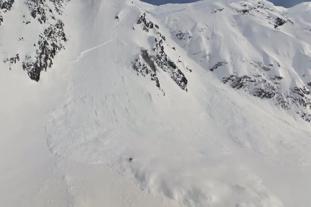  Lots of Avalanche and more