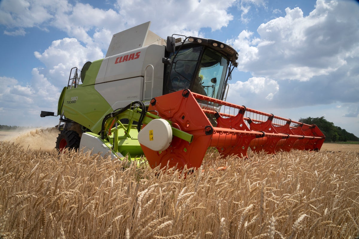 UN warns of new threat to global food security after Russia limits Ukraine grain shipments