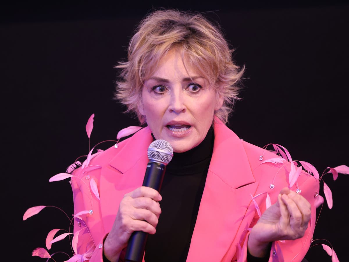 Sharon Stone says she was shunned by Hollywood after suffering stroke