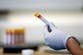 ‘Promising’ new test could detect pancreatic cancer in its early stages