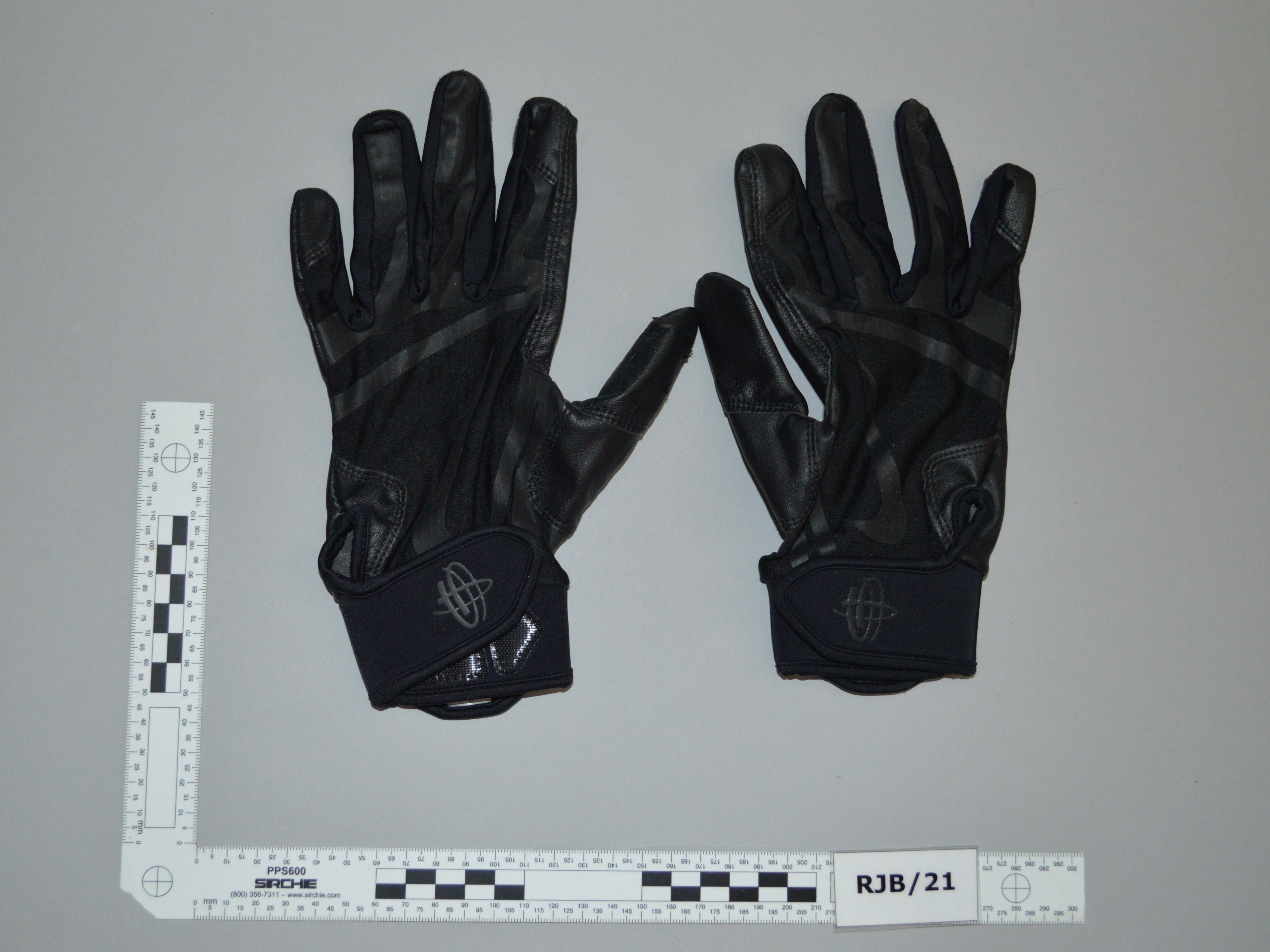 ‘Tactical gloves’ purchased by King, who admitted preparing acts of terrorism