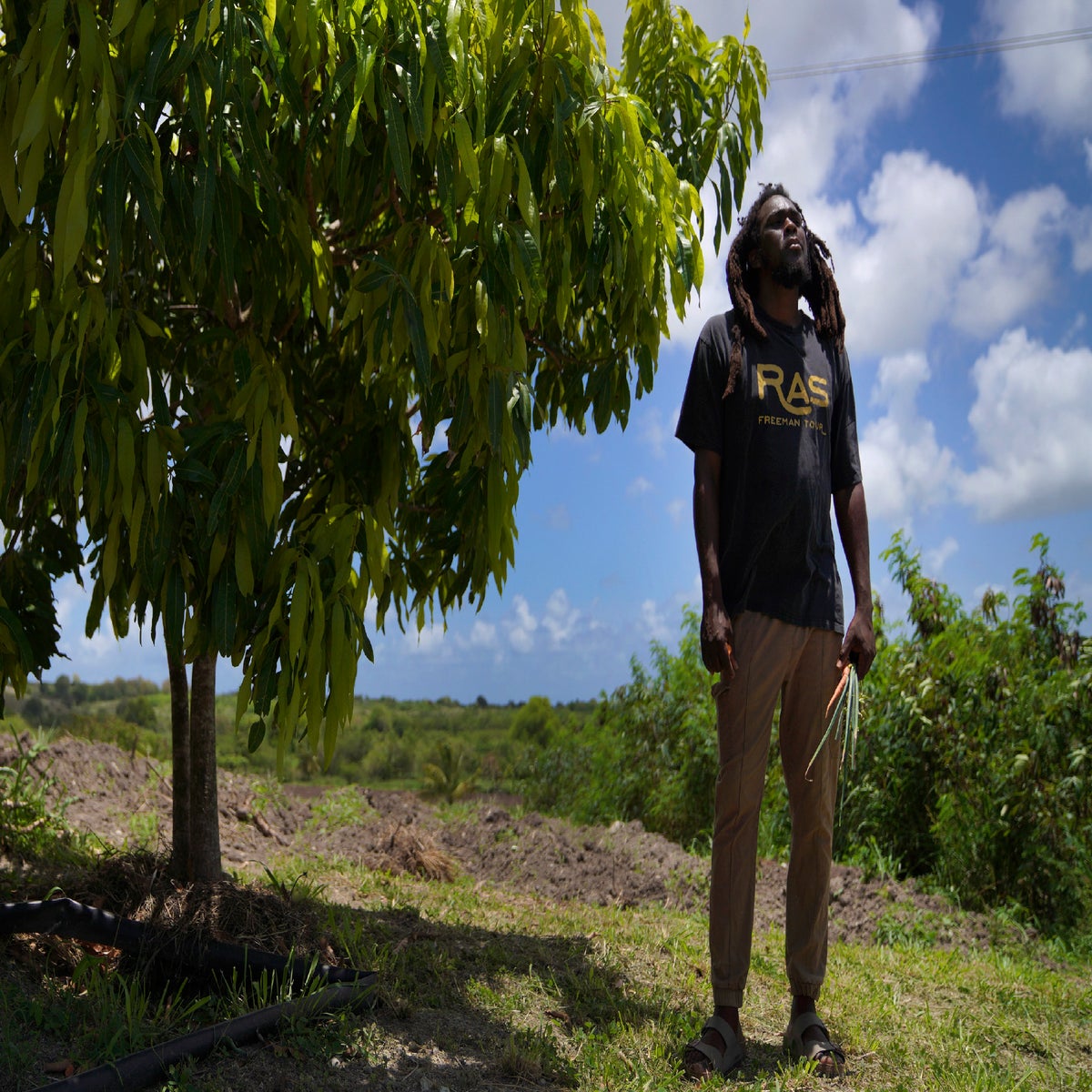 Rastafarian Place Of Worship