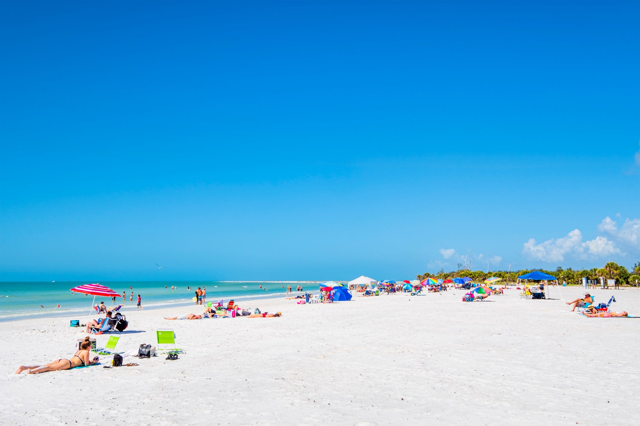 A great beach, yes – but Fort De Soto Park is also the gateway to the Great Florida Birding Trail
