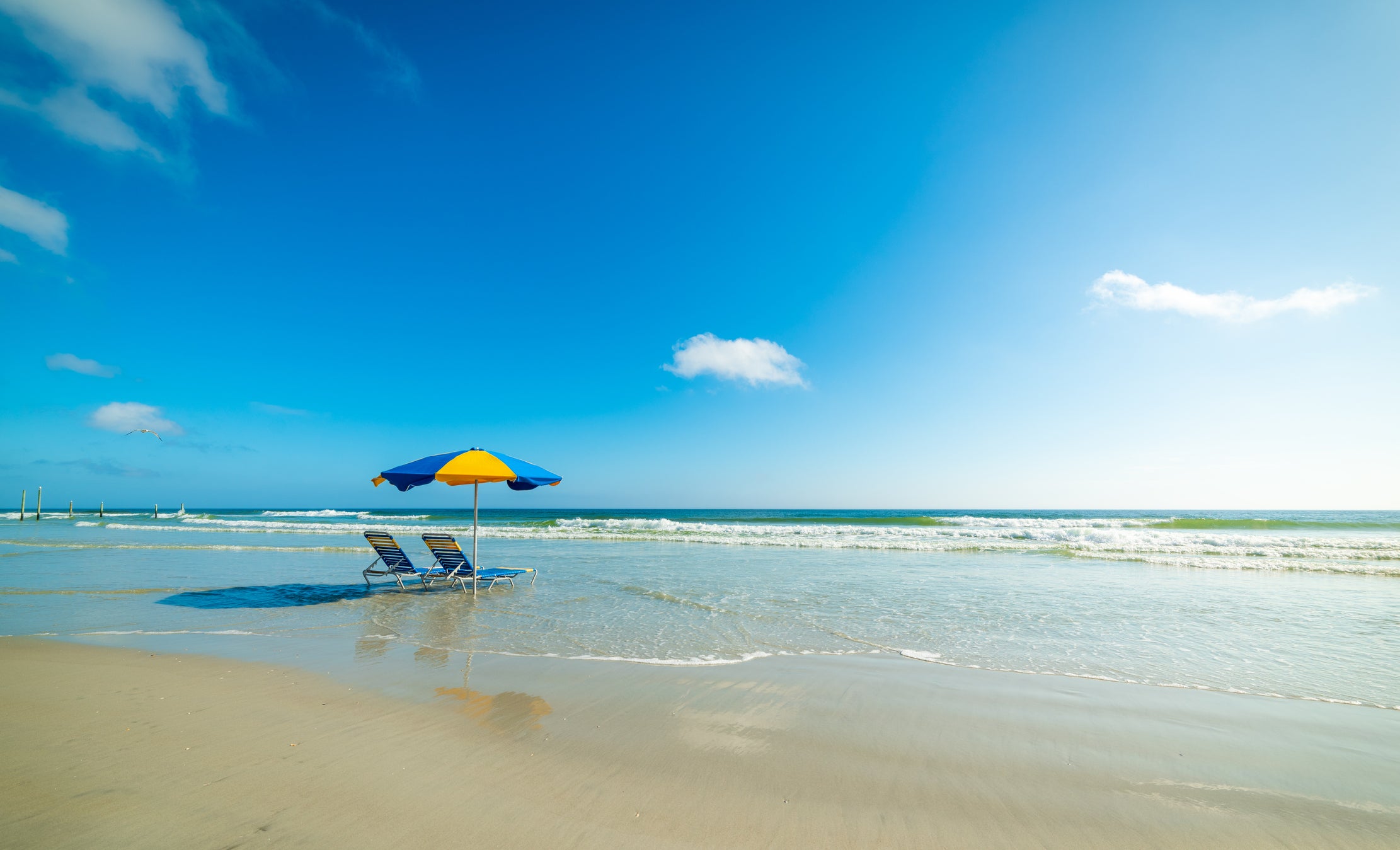 Daytona is among the many wonderful beaches you’ll find across Florida