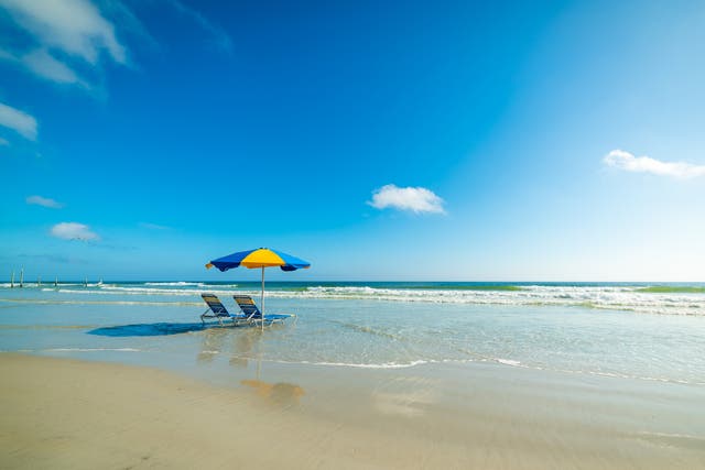 <p>Daytona is among the many wonderful beaches you’ll find across Florida </p>