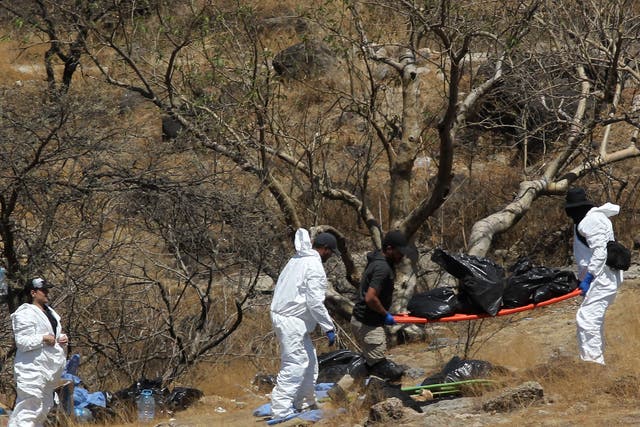 <p>Forensic experts work with several bags of human remains extracted from the bottom of a ravine by a helicopter, which were abandoned at the Mirador Escondido community in Zapopan, Jalisco state, Mexico on May 31, 2023</p>