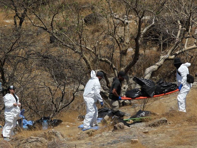 <p>Forensic experts work with several bags of human remains extracted from the bottom of a ravine by a helicopter, which were abandoned at the Mirador Escondido community in Zapopan, Jalisco state, Mexico on May 31, 2023</p>