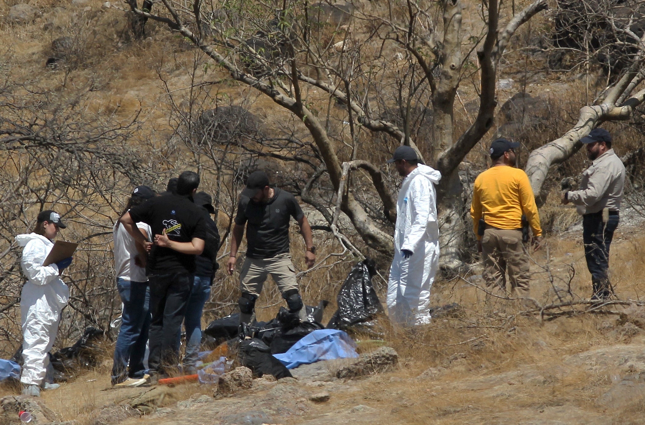 Forensic experts work with several bags of human remains extracted from the bottom of a ravine by a helicopter, which were abandoned at the Mirador Escondido community in Zapopan, Jalisco state, Mexico on May 31, 2023