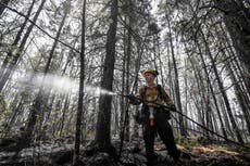 Rain brings much-needed relief to firefighters battling Halifax-area wildfires