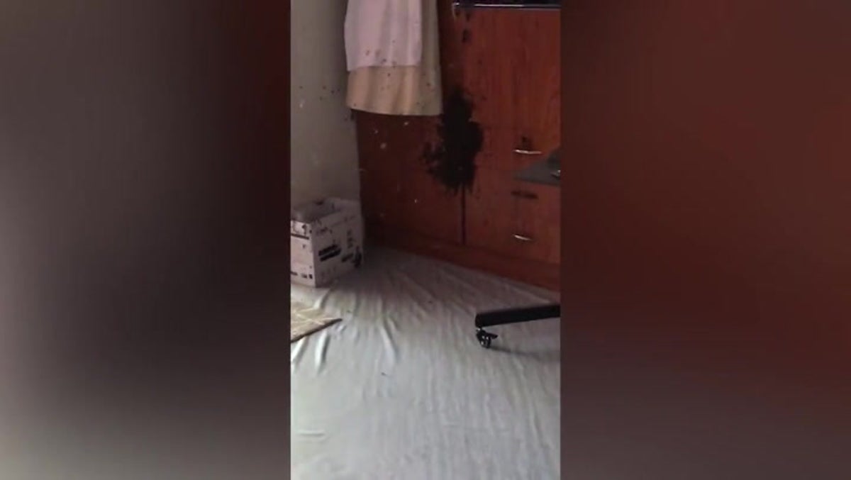 Watch as hundreds of bees take over family’s wardrobe