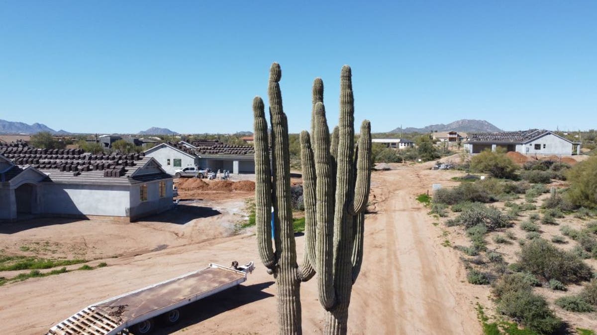 Arizona restricts construction around Phoenix as water supply wanes