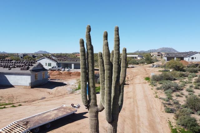 <p>New homes being built in the arid landscape of Rio Verde Foothills outside of Phoenix, Arizona, on February 24, 2023</p>