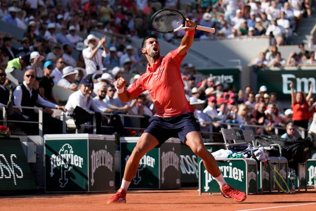 Novak Djokovic celebrates winning the second set (Christophe Ena/AP)
