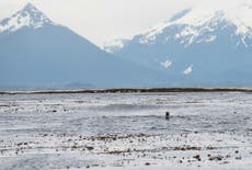 Body of Alaska fishing captain recovered 11 days after partially submerged boat found