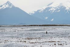 Body of Alaska fishing captain recovered 11 days after partially submerged boat found