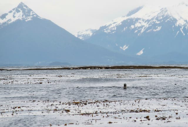 Alaska Fishing Trip Family Tragedy