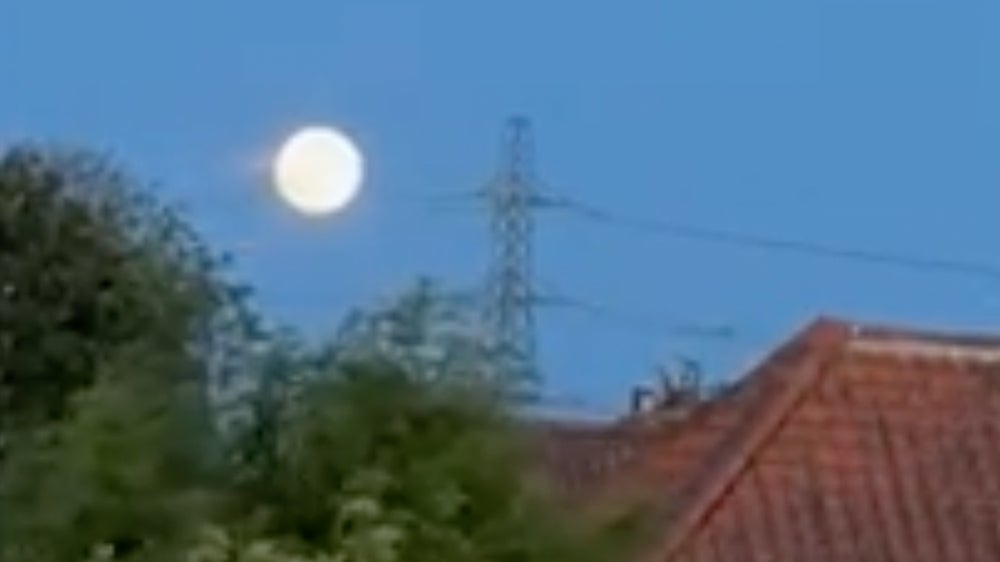 <p>strawberry moon</p>